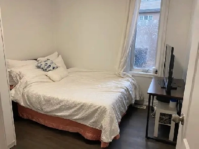 York University Image# 1