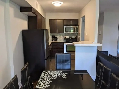 Furnished one-bedroom apartment, Yonge & Wellesley, asap Image# 1