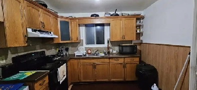 Room for Rent Close To Whitehorn LRT Image# 5