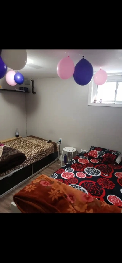 Scarborough room Available sharing basis at Lawrence & morningsi Image# 1