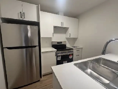 Brand new 1 Bedroom basement suite Image# 8