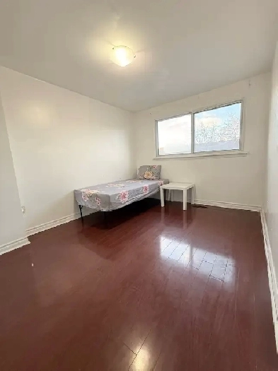 Private room for rent near Bramalea City Centre Image# 1