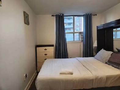 Furnished 2-bedroom apartment, Kingston and Lawrence, April 20 Image# 5