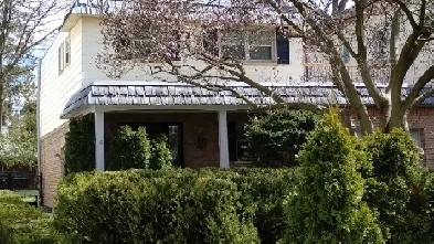 Executive Detached 4 Bdrm, 4 bath, priv drive, new Reno- 42' lot Image# 1