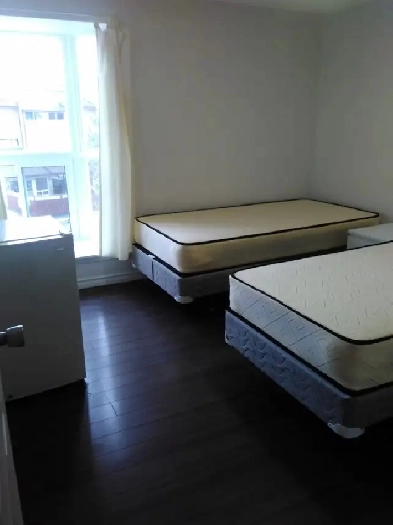Room near Humber College for girl Sharing Image# 1