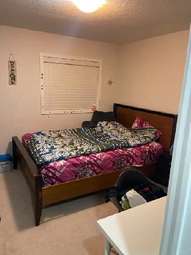 one furnished room for rent Image# 1