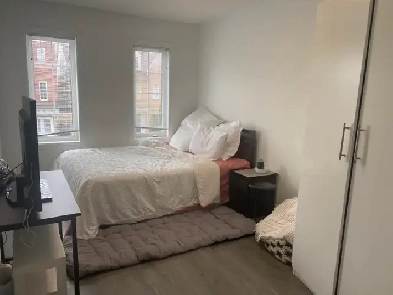 York university Image# 1