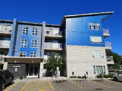 610 Calahoo Rd, Spruce Grove – Modern Bachelor Suite, in laundry Image# 10