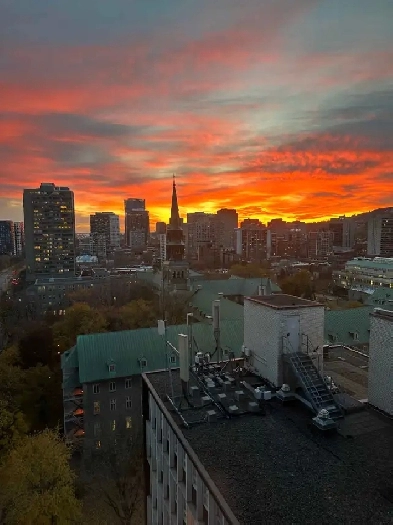 New Studio, Guy-Concordia Station First Month Free Image# 1