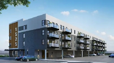 Portage la Prairie BRAND NEW Pet-Friendly Bachelor suite One Bat Image# 1