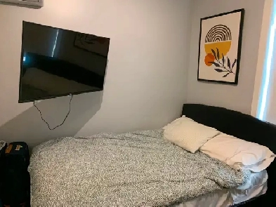 Private Room and Bathroom for Rent Image# 2