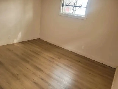 Basement Suite available in Highland Park for rent Image# 6