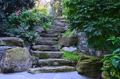 Available Furnished Room for Rent for Female Student/Working Image# 1