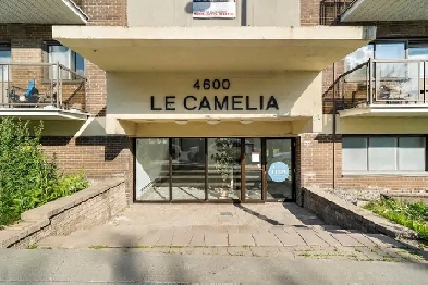 4.5 Spacieux à Côte-des-Neiges – Quick Ride to Downtown MTL! Image# 1