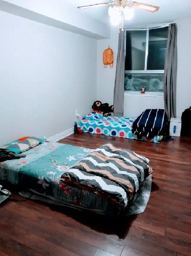 Room in sharing available for female roommate Image# 1