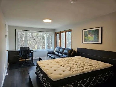 Upscale Furnished Room,Ensuite, AC,Pillowtop Queen,Near Downtown Image# 3