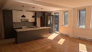 Magnifique 5 1/2 Outremont Image# 1