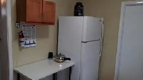 Main Floor Shared Room for single male Image# 1