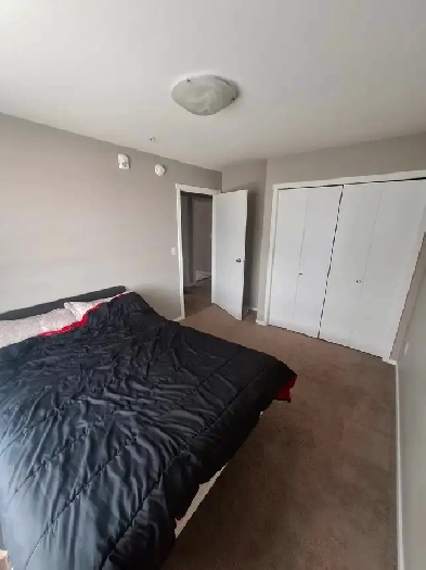 Room to rent 695$, nice roomies, good area, confy & calm place Image# 4