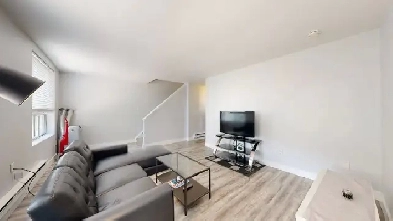 Room for Rent in an Spacious 2 Bed / 1 Bath Apartment Image# 7
