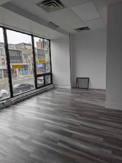 Local à louer - Plateau Mont-Royal (St'Denis) Image# 1