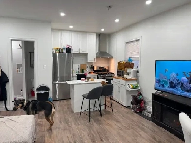 2 Bedroom Furnished St clair ave w All Inclusive Free Internet Image# 7