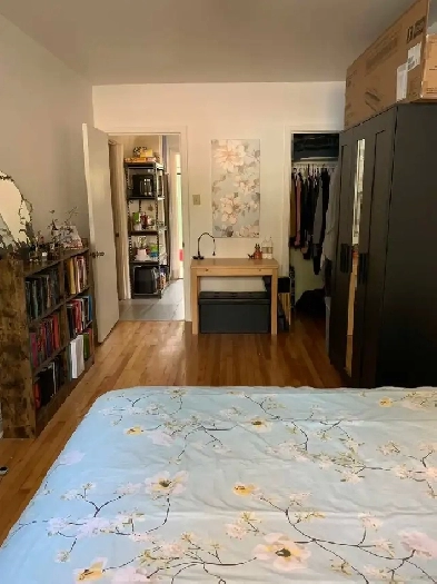 one bedroom apartment McGill Ghetto Milton Parc Area Image# 3