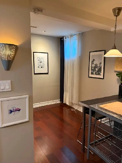 STYLISH JUNIOR 1 BEDROOM (400SQFT) - ANNEX, TORONTO Image# 7