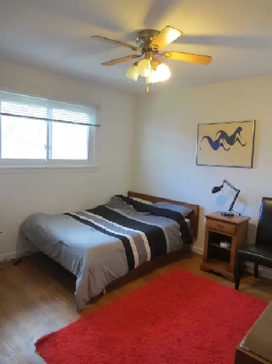 Very Nice Furnished Room for Rent Near Algonquin College! Image# 1