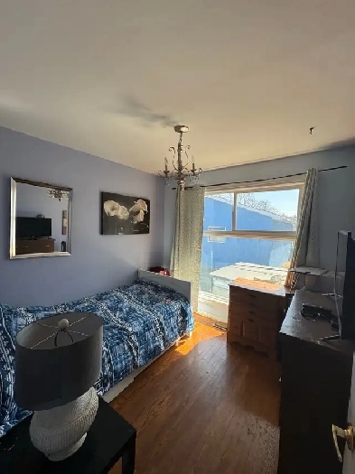 Room to rent five minute walk to U of M ! male s Image# 1