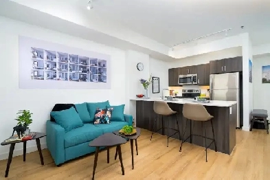 Newly built 1 Bedroom Apartment Top Floor- Island Lakes - Sublet Image# 12