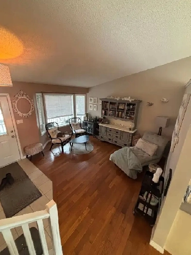 What a GEM in Sherwood Park! Image# 1