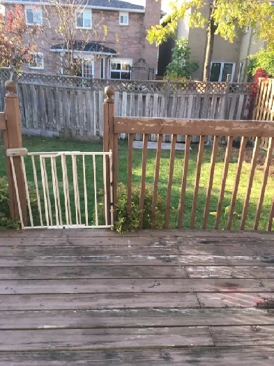 A room available immediately Eglinton & Creditview Image# 1