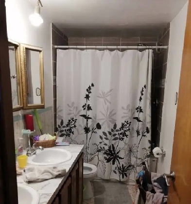 Big bright 5 ½ apartment with private yard for Rent in Montreal Image# 2