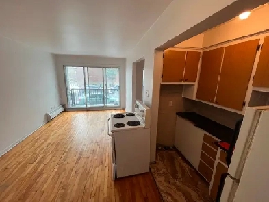 Grand Studio 2 1/2 - ROSEMONT - DISPONIBLE MAINTENANT OU MAI Image# 2