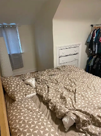 Renting 5 bedroom house and basement Image# 1