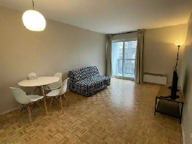 one bedroom apartment in heart of downtown Image# 1