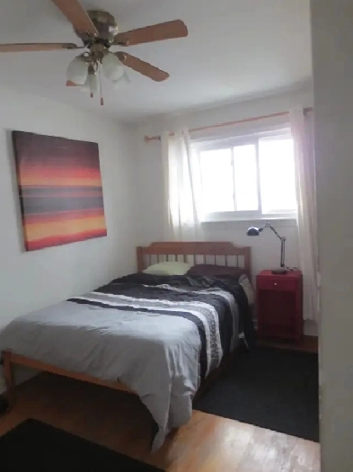 Clean Quiet Room For Rent ! Image# 1