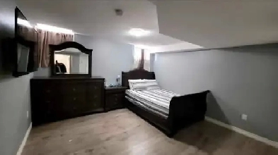 New Basement for rent Image# 1