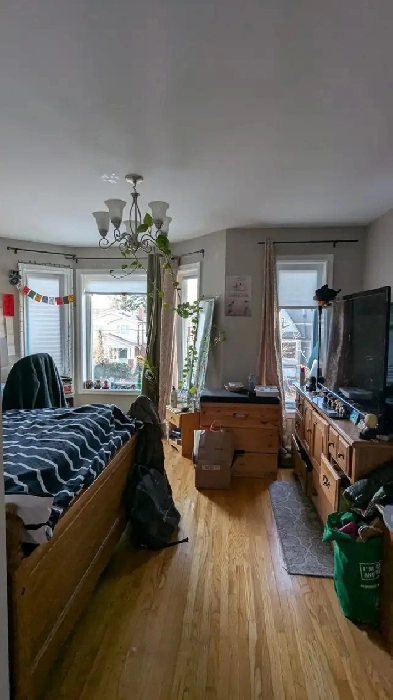 Large Furnished Room for Female Image# 1