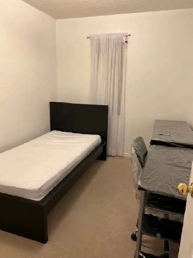 Mississauga Private Room For Rent Single Professionals Image# 1