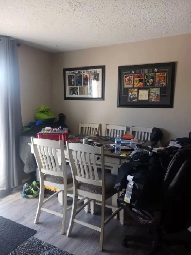 3  1 Bdrs 2.5 wash duplex for rent in Pineridge area,NE. Calgary Image# 6