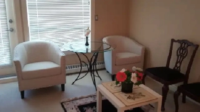 Executive 1 bedroom apartment suite across University of Calgary Image# 2