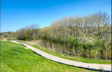 Rooms for Rent Image# 1