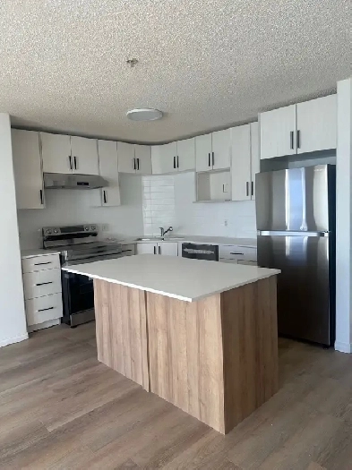 Two bedroom apartment for rent Image# 3