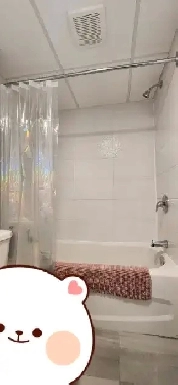 Studio / bachelor in Hull near everything (AVAILABLE MAY 1st) Image# 1