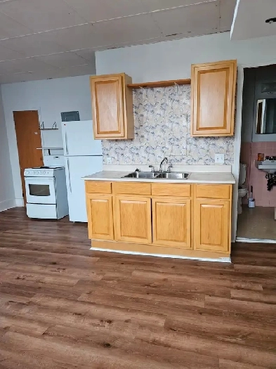 3rd Floor One Bedroom Available May 1st Downtown Image# 3