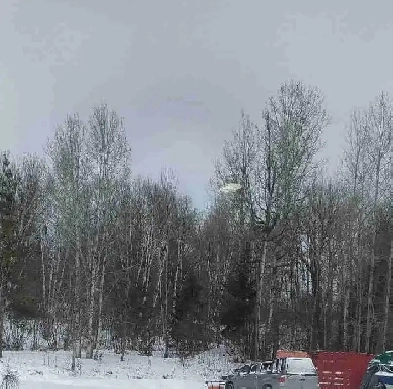 I want a 2 bedroom basement near St.Joseph Scollard School Image# 1