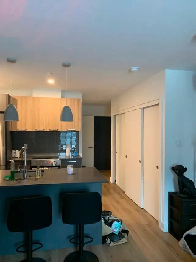 Studio Transfer de bail 1Dec au 1Dec Laval Image# 1