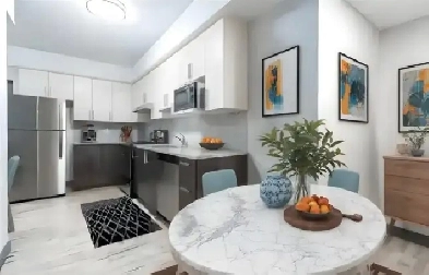 2 Bed 1 Bath Apartment for Rent in Waterloo Image# 1